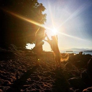 Meet your Posher, Alex